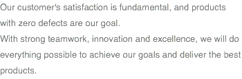 Our customer's satisfaction is fundamental, and products with zero defects are our goal. With strong teamwork, innovation and excellence, we will do everything possible to achieve our goals and deliver the best products.